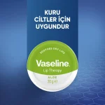 خرید و قیمت بالم لب وازلین سبز مدل آلوورا Vaseline ALOE حجم 20 میلی لیتر
