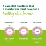 خرید و قیمت کرم آبرسان و مرطوب کننده سیمپل مدل ریچ Simple rich حجم 125 میلی لیتر