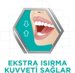 خرید و قیمت چسب دندان مصنوعی کورگا بدون طعم COREAGA Tat İçermez وزن 40 گرم