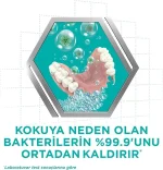 خرید و قیمت قرص جرم گیر دندان مصنوعی کورگا COREAGA بسته 30 عددی