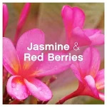 خرید و قیمت مایع نرم‌کننده و خوشبوکننده لباس لنور مدل یاس و توت قرمز lenor Jasmine & Red Berries حجم 860 میلی لیتر