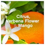 خرید و قیمت مایع نرم‌کننده و خوشبوکننده لباس لنور مدل مرکبات و شاه پسند سفید lenor Citrus & White Verbena حجم 860 میلی لیتر