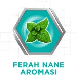 خرید و قیمت چسب دندان مصنوعی کورگا نعنایی COREAGA Nanali وزن 40 گرم