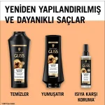 خرید و قیمت اسپری دو فاز گلیس آلتیمیت ریپیر Gliss Ultimate Repair حجم 200 میلی لیتر