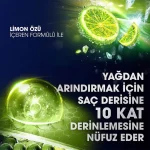 خرید و قیمت شامپو مو ضد شوره کلیر مردانه حداکثر خنکی CLEAR MEN Maksimum Ferahlık حجم 350 میلی لیتر