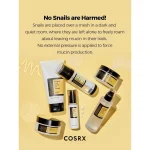 اسنس دوگانه حلزون کوزاركس COSRX Advanced Snail Radiance Dual Essence حجم 80 میلی لیتر - Image 11