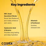 خرید و قیمت اسنس موسین حلزون کوزارکس Cosrx Advanced Snail ۹۶ Mucin Power Essence حجم 100 میلی لیتر