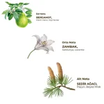 خرید و قیمت افتر شیو ایوب صبری رایحه شماره یک Eyup Sabri Tuncer Aftershave Cologne No1 حجم 250 میلی لیتر