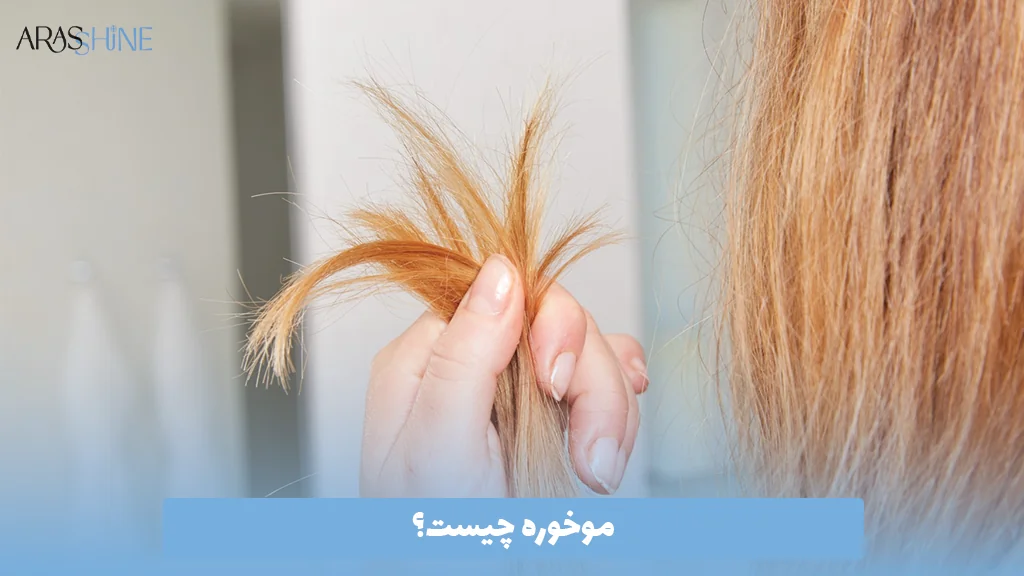 موخوره چیست؟