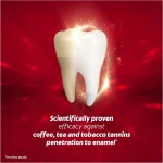 خمیر دندان سفید کننده ذغالی کلگیت مدل اپتیک وایت Colgate OPTIC WHITE حجم 125 میلی لیتر - Image 6