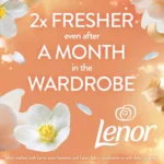 خرید و قیمت بوستر خوشبو کننده لباس لنور رایحه یاس و سدر سفید Lenor IN-WASH SCENT BOOSTER وزن 155 گرم